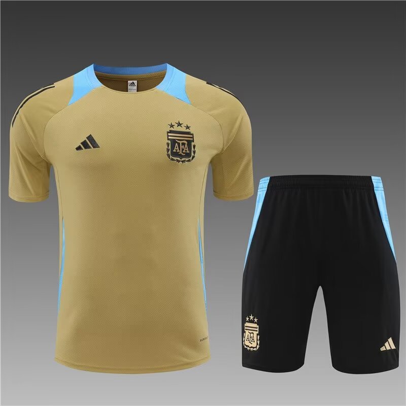 kids kit Argentina Gold Short Sleeves  24/25